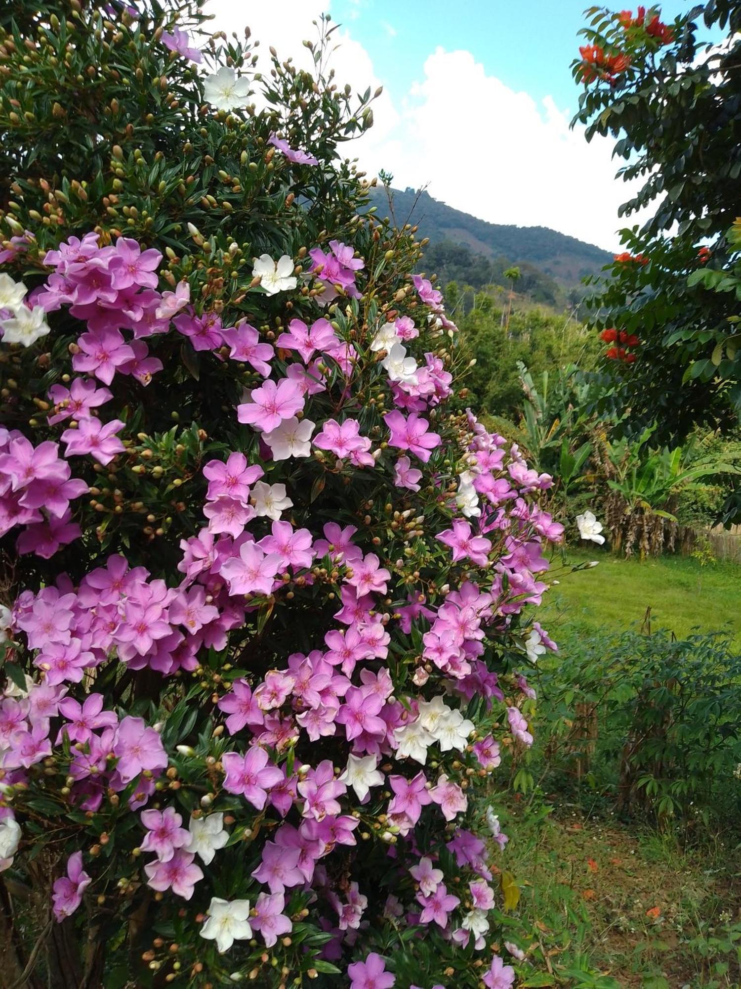 Rancho Pe Da Pedra Villa São Bento do Sapucaí Kamer foto