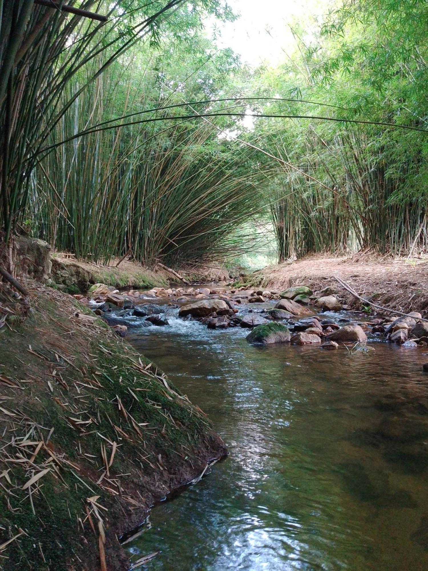 Rancho Pe Da Pedra Villa São Bento do Sapucaí Kamer foto